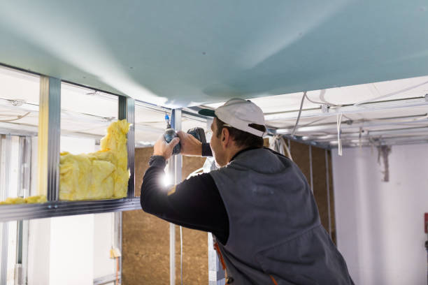 Best Commercial Insulation in Carrizozo, NM