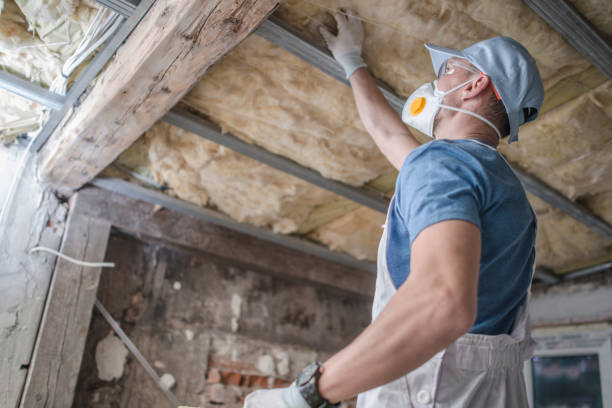 Best Blown-in Insulation in Carrizozo, NM