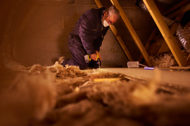 Best DIY Insulation Kits and Guidance in Carrizozo, NM